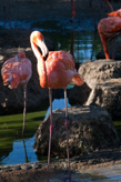 1/250 s à f / 6,3 ISO 400105 mm