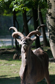 1/320 s à f / 6,3 ISO 400160 mm