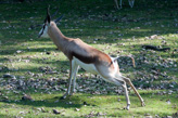 1/250 s à f / 6,3 ISO 400160 mm